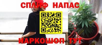 СК Балашиха