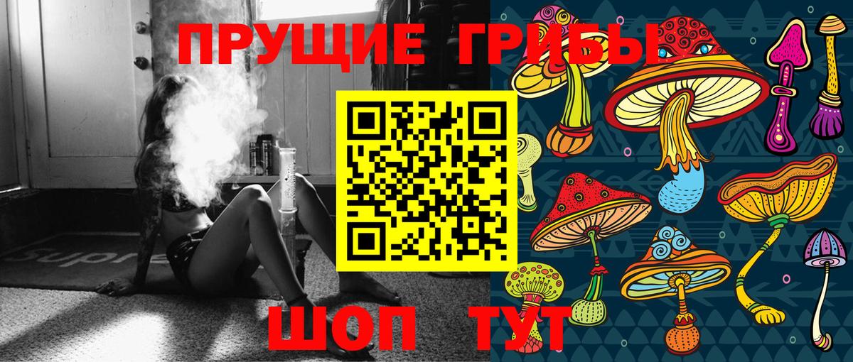 Псилоцибиновые грибы MAGIC MUSHROOMS Егорьевск