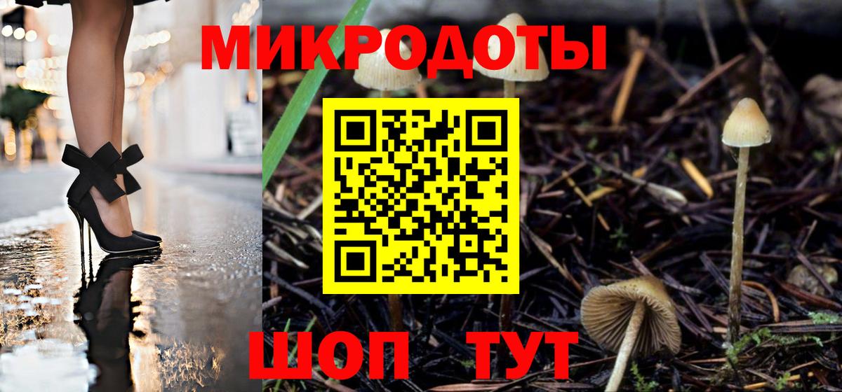 Егорьевск  Псилоцибиновые грибы мухоморы  Псилоцибиновые грибы Magic Shrooms  Вход с VPN 